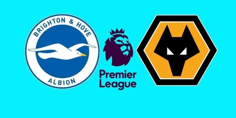 Wolverhampton vs Brighton