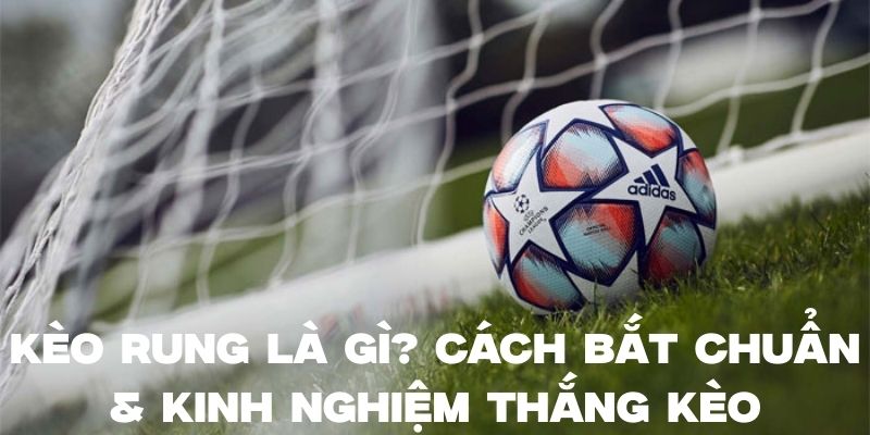 Kèo Rung Là Gì? Cách Bắt Chuẩn & Kinh Nghiệm Thắng Kèo