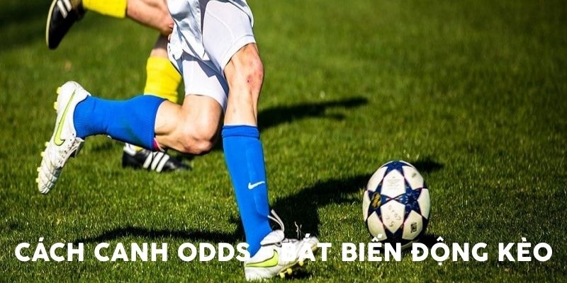 Cách Canh Odds – Bắt Biến Động Kèo Trước Trận Hiệu Quả Như Cao Thủ