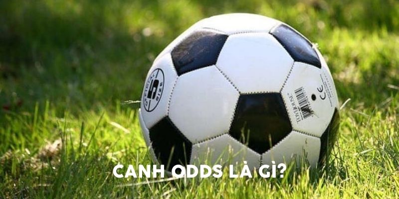 Tìm hiểu về cách canh odds